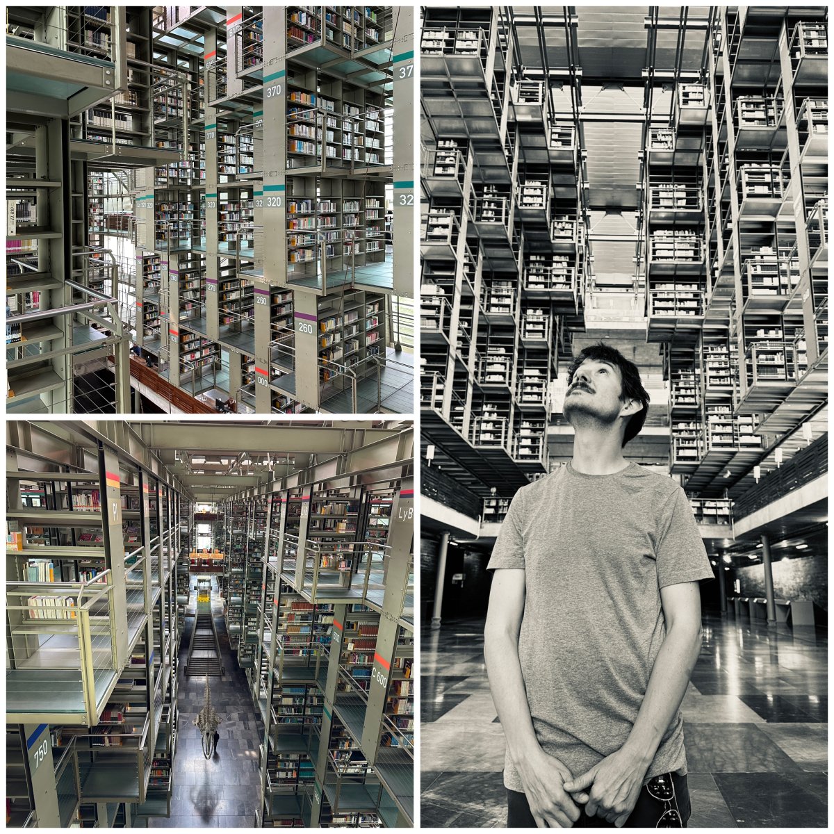 Cristobal at a library